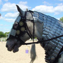 Loki, equine companion to Viscountess Kassandra Tenebrosa
