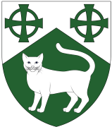 Device: Per chevron argent and vert, two equal-armed Celtic crosses and a cat statant guardant counterchanged
